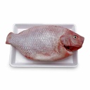 CÁ DIÊU HỒNG VNQ / レッドティラピア魚