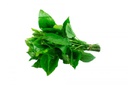 LÁ LỐT 100g / パイパーロロット 100g