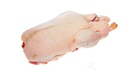 VỊT NHỠ 1.8kg / アヒル 1.8kg